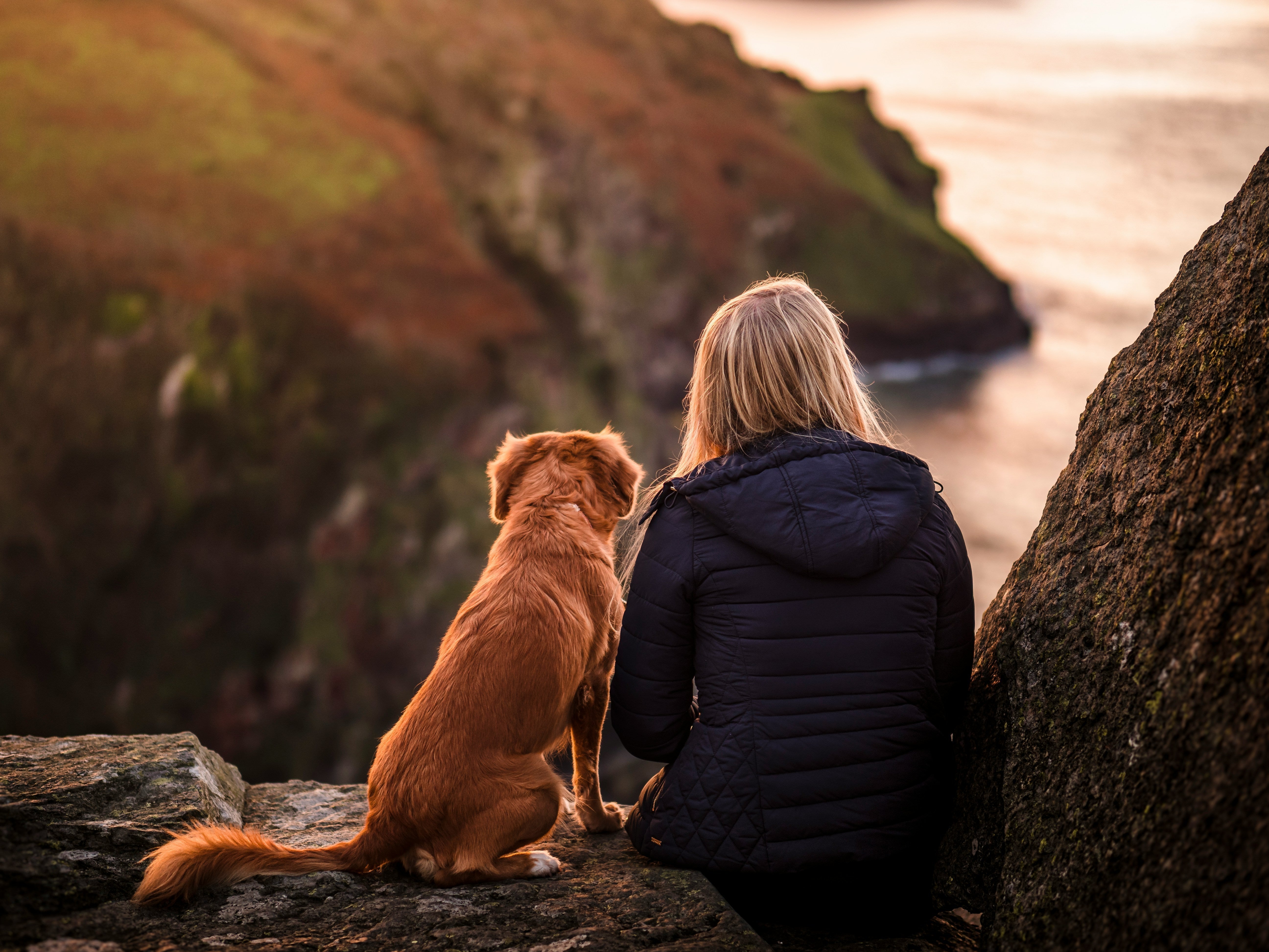 Welcome to Our Journal: Notes for Better Days with Dogs