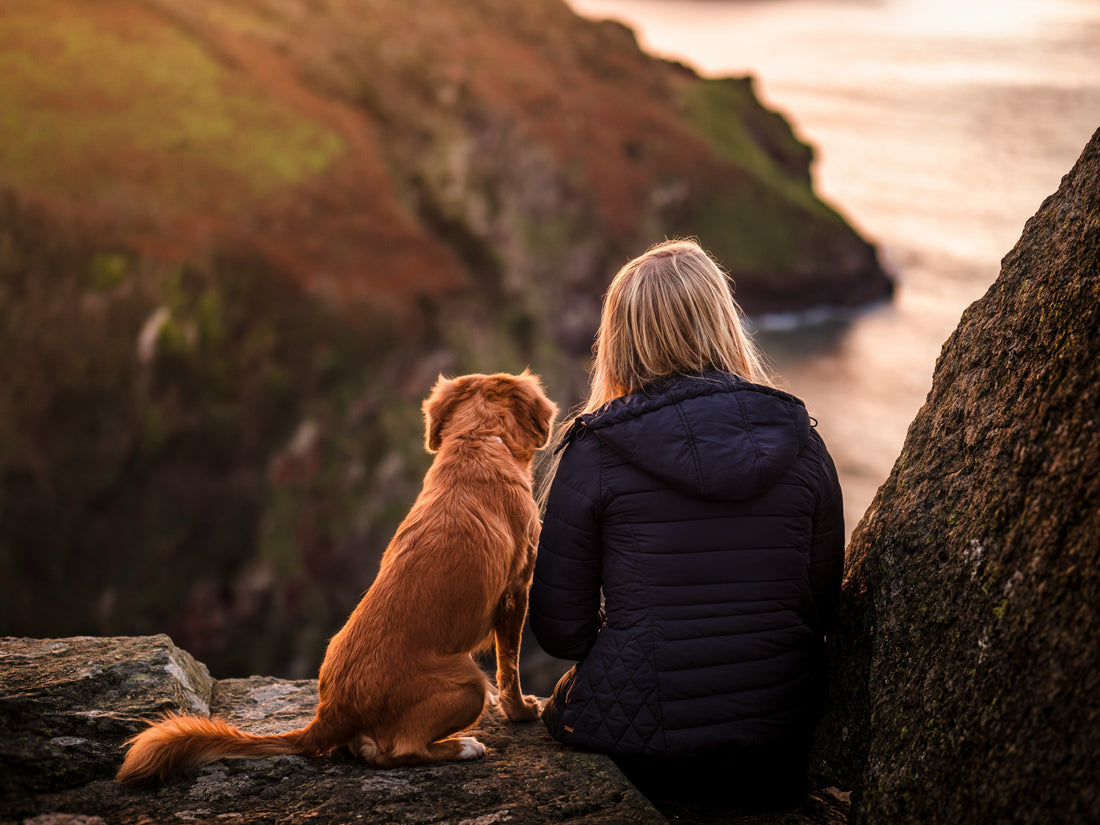 Welcome to Our Journal: Notes for Better Days with Dogs