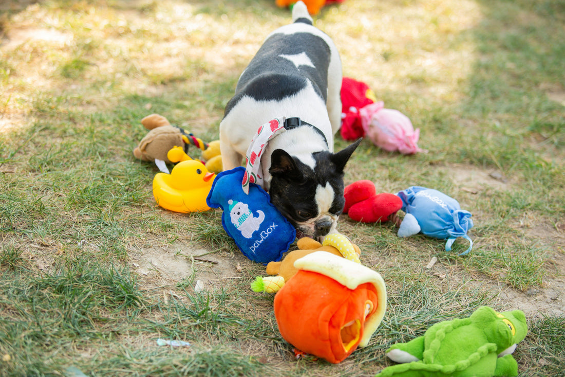 Why the Right Toys Matter More Than You Think