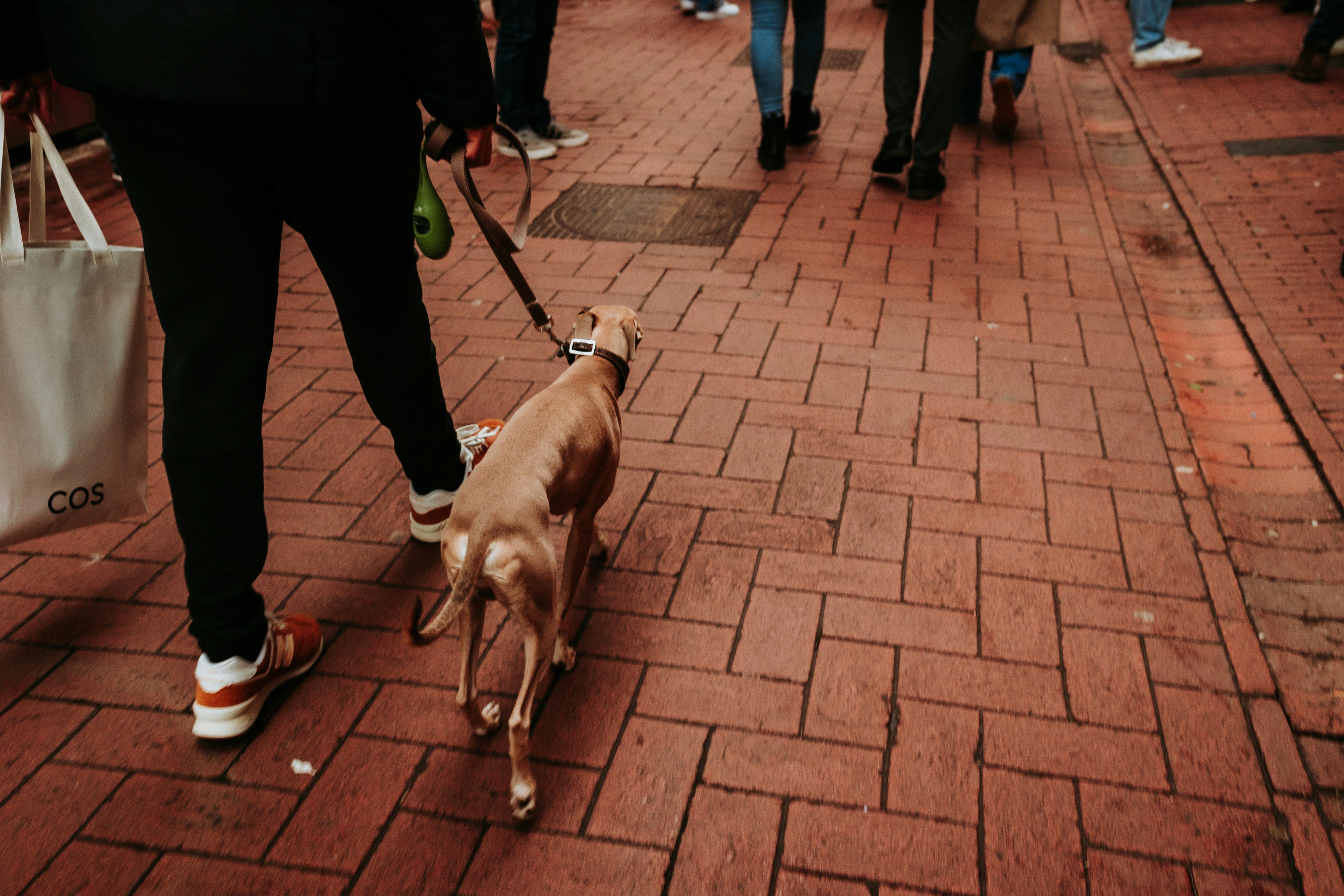 Why Comfort Matters on Everyday Walks