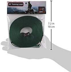 LupinePet Basics 1/2" Green 30-foot Extra-Long Training Lead/Leash for Small Pets