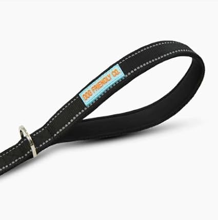 DF Co. Close Control Short Trainer Dog Leash | Strain Free & Shock Resistant, Durable Material, 65cm in Length, Heavy Duty Clips & D-Ring (Black, Regular)