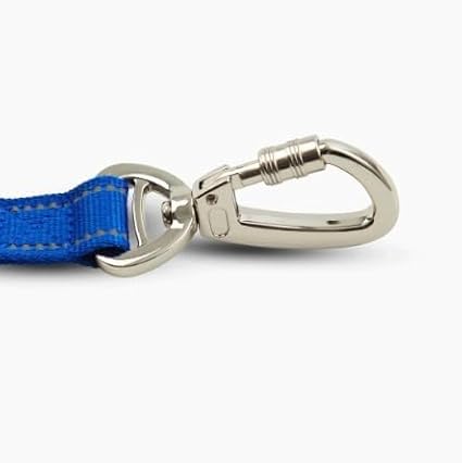 DF Co. Close Control Short Trainer Dog Leash | Strain Free & Shock Resistant, Durable Material, 65cm in Length, Heavy Duty Clips & D-Ring (Classic Blue, Small)