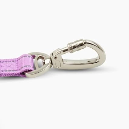DF Co. Close Control Short Trainer Dog Leash | Strain Free & Shock Resistant, Durable Material, 65cm in Length, Heavy Duty Clips & D-Ring (Purple, Small)