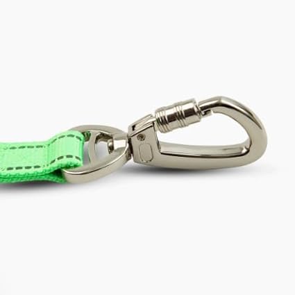 DF Co. Close Control Short Trainer Dog Leash | Strain Free & Shock Resistant, Durable Material, 65cm in Length, Heavy Duty Clips & D-Ring (Green, Regular)