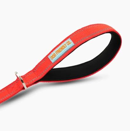 DF Co. Close Control Short Trainer Dog Leash | Strain Free & Shock Resistant, Durable Material, 65cm in Length, Heavy Duty Clips & D-Ring (Red, Small)