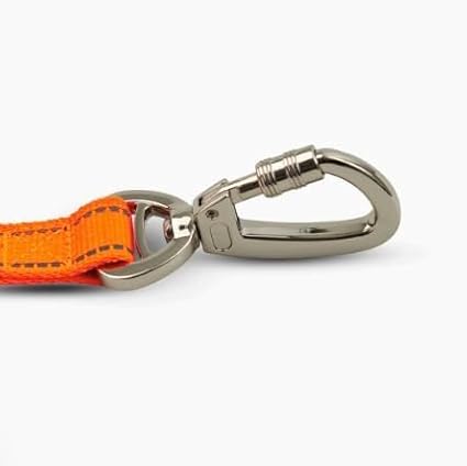 DF Co. Close Control Short Trainer Dog Leash | Strain Free & Shock Resistant, Durable Material, 65cm in Length, Heavy Duty Clips & D-Ring (Orange, Small)