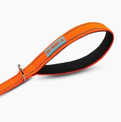 DF Co. Close Control Short Trainer Dog Leash | Strain Free & Shock Resistant, Durable Material, 65cm in Length, Heavy Duty Clips & D-Ring (Orange, Regular)