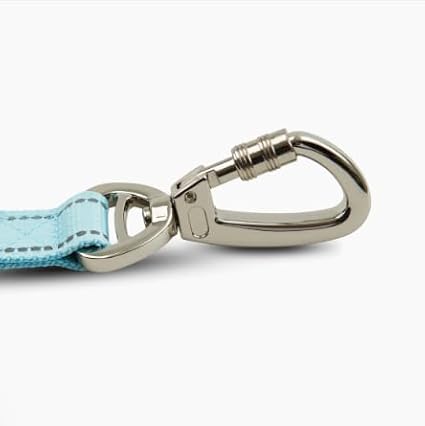 DF Co. Close Control Short Trainer Dog Leash | Strain Free & Shock Resistant, Durable Material, 65cm in Length, Heavy Duty Clips & D-Ring | Sky Blue, Size Regular