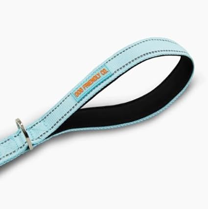 DF Co. Close Control Short Trainer Dog Leash | Strain Free & Shock Resistant, Durable Material, 65cm in Length, Heavy Duty Clips & D-Ring | Sky Blue, Size Regular