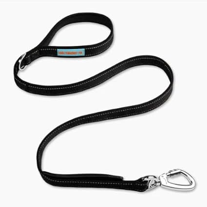 DF Co. Classic Dog Leash | Strain-Free, Shock Resistant, Prevents Jolts, Maintain Control | Durable Waterproof Material with Heavy Duty Clip & D-Ring | Black, Size Regular