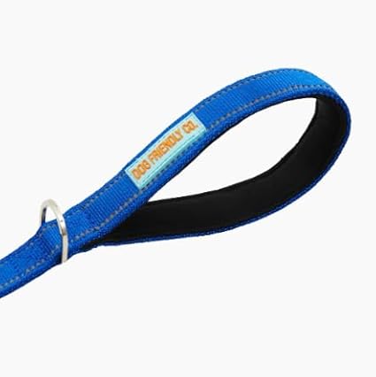 DF Co. Close Control Short Trainer Dog Leash | Strain Free & Shock Resistant, Durable Material, 65cm in Length, Heavy Duty Clips & D-Ring (Classic Blue, Regular)