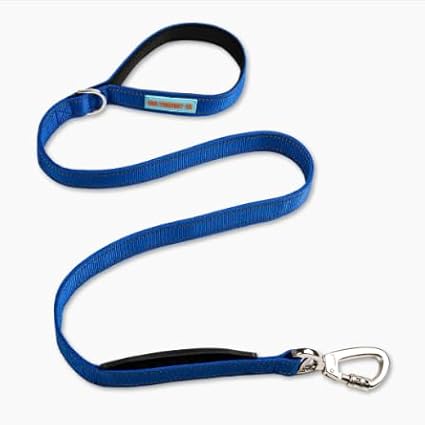 DF Co. Classic Dog Leash | Strain-Free, Shock Resistant, Prevents Jolts, Maintain Control | Durable Waterproof Material with Heavy Duty Clip & D-Ring (Classic Blue, Small)