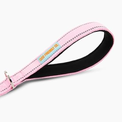 DF Co. Close Control Short Trainer Dog Leash | Strain Free & Shock Resistant, Durable Material, 65cm in Length, Heavy Duty Clips & D-Ring (Pink, Regular)