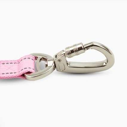 DF Co. Close Control Short Trainer Dog Leash | Strain Free & Shock Resistant, Durable Material, 65cm in Length, Heavy Duty Clips & D-Ring (Pink, Regular)
