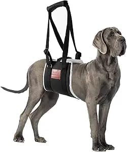 Dog Sling for Back Legs, Dog Lift Harness, Magic Tape Dog Sling for Large Dogs Hind Leg Support, Elderly Dog Lifter, Assist Canie Hip Arthritis K9 Cruciate Ligament Rehabilitation (Brown, Medium)