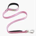 DF Co. Classic Dog Leash | Strain-Free, Shock Resistant, Prevents Jolts, Maintain Control | Durable Waterproof Material with Heavy Duty Clip & D-Ring (Pink, Small)