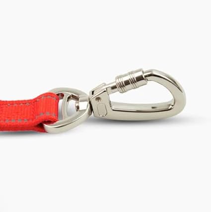 DF Co. Close Control Short Trainer Dog Leash | Strain Free & Shock Resistant, Durable Material, 65cm in Length, Heavy Duty Clips & D-Ring (Red, Small)