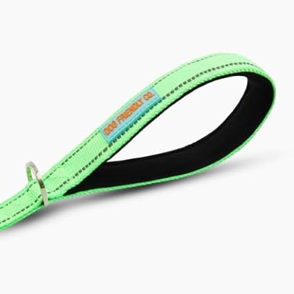 DF Co. Close Control Short Trainer Dog Leash | Strain Free & Shock Resistant, Durable Material, 65cm in Length, Heavy Duty Clips & D-Ring (Green, Regular)