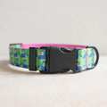 Dog Collars for Small Dogs - Safety Buckle Durable Plastic Light-Weight, Boy Girl Dogs Collar for Small Dog Collar with Cute Patterns Soft Adjustable (Green&Pink, XS)
