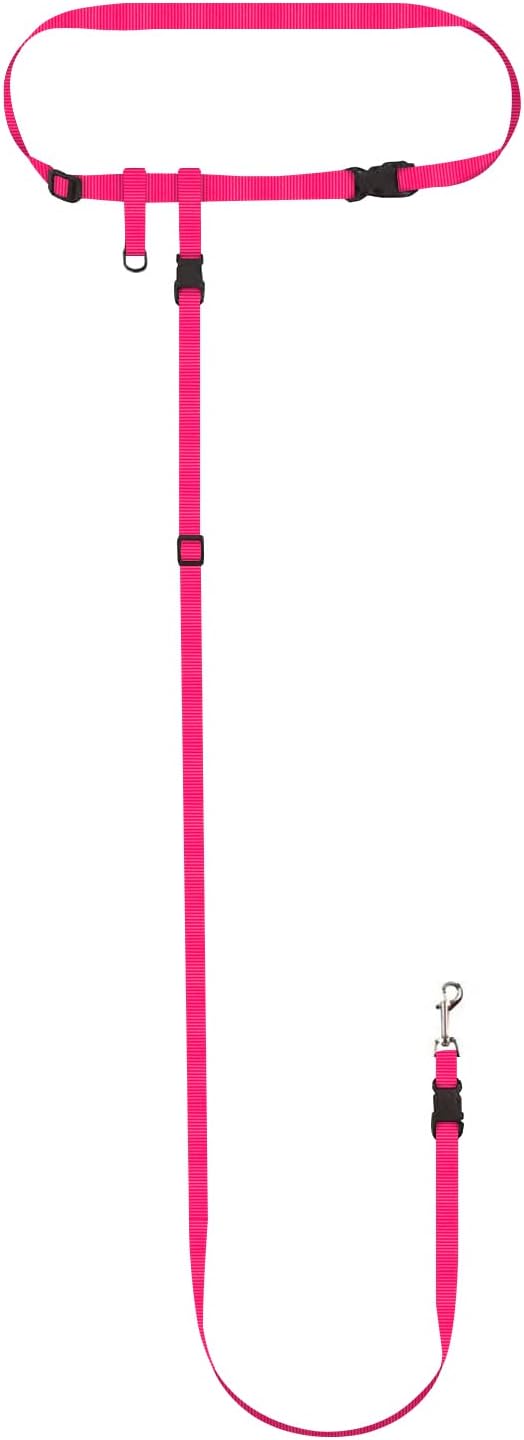 The Buddy System Hands Free Dog Leash, Adjustable Leash for Running, Jogging, Training and Service Dogs, Great for Small, Medium and Large Dogs, Made in USA (Pink, Small Dog System (Large Belt))