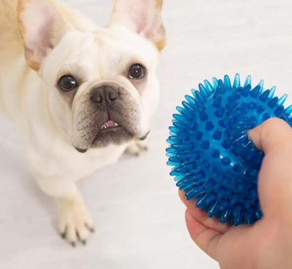 Soft Transparent Spiky Dog Chew Ball, 6.5 CM, Blue Bite Resistant Training Toy for Puppies and Cats Tool
