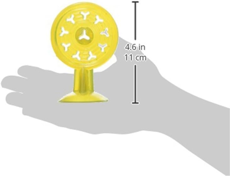 Chase 'n Chomp Suction Cup Popsicle Pet Chew Toy
