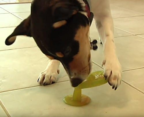 Chase 'n Chomp Suction Cup Popsicle Pet Chew Toy