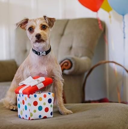 P.L.A.Y. Cute Plush Dog Toys - Birthday Party Celebration Themed Durable Squeaker Chew Toy, Great for Puppies & Small, Medium, Large Dog - Machine Washable, Recycled Material (Pawfect Present, Medium)