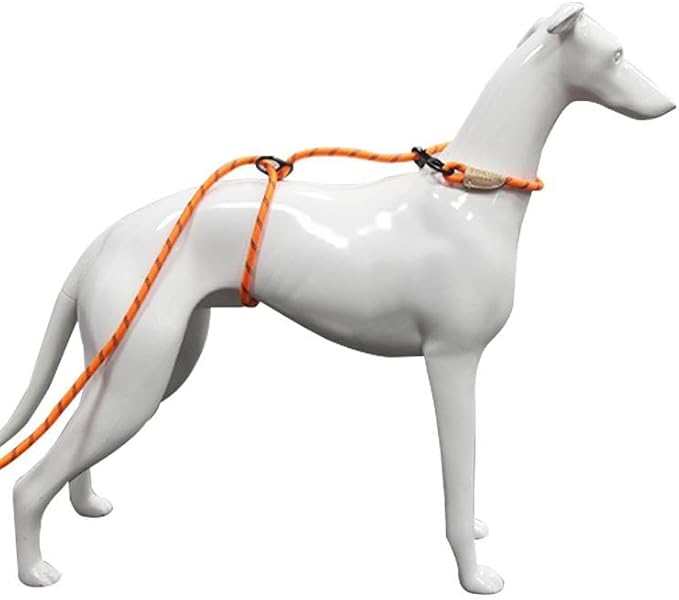 12ft No Pull No Choke Leash Long Rope Dog Leash, Anti Pulling, Dog Leads for Walking, Double Hook & Escape Proof for All Breeds, Reflective Orange
