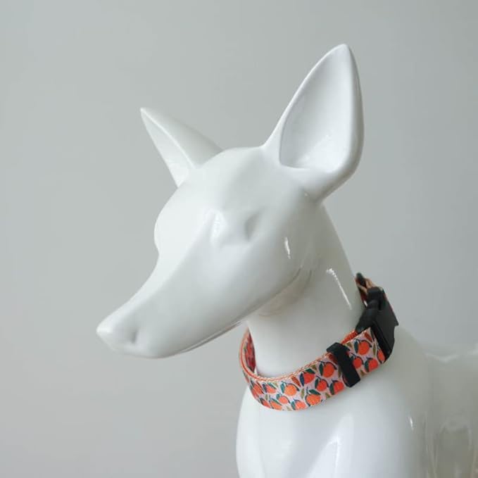 Dog Collars for Medium Dogs - Safety Buckle Durable Plastic Light-Weight, Boy Dogs Collar for Medium Dog Collar with Fruit Patterns Soft Adjustable (Orange, M)