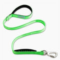 DF Co. Classic Dog Leash | Strain-Free, Shock Resistant, Prevents Jolts, Maintain Control | Durable Waterproof Material with Heavy Duty Clip & D-Ring (Green, Regular)