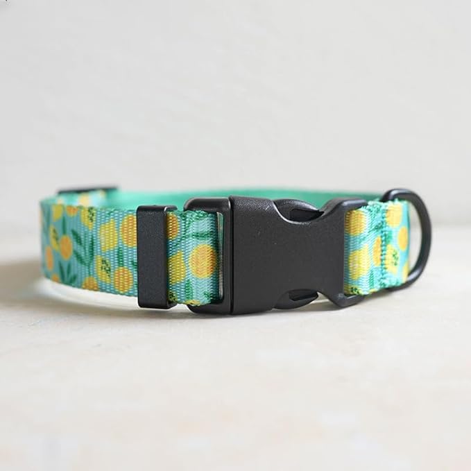 Dog Collars for Small Dogs - Safety Buckle Durable Plastic Light-Weight,Boy Dogs Collar for Small Dog Collar with Cute Patterns Soft Adjustable (Light Green, XS)