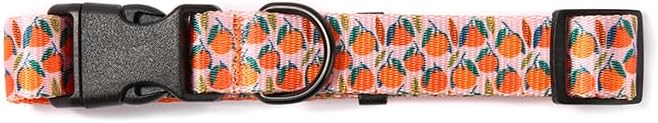 Dog Collars for Large Dogs - Safety Buckle Durable Light-Weight Buckle, Girl Dogs Collar for Big Dog Collar with Fruit Patterns - Soft Adjustable Sturdy Nylon Pet Collars (Orange, L)