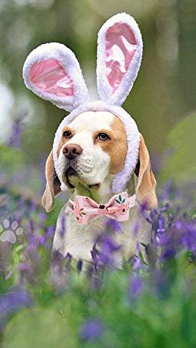 Elegant little tail Dog Collar with Bow, Comfotable Dog Bowtie, Bowtie Dog Collar Adjustable Dog Collars for Small Medium Large Dogs and Cats