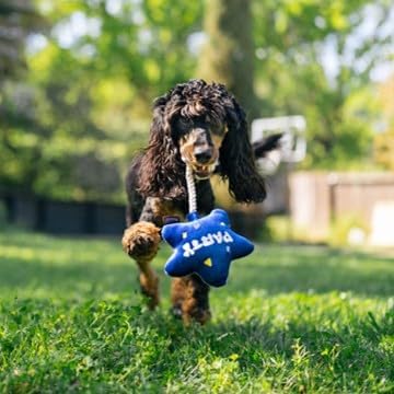 P.L.A.Y. Cute Plush Dog Toy - Birthday Party Celebration Themed Durable Squeaker Chew Toy, for Puppies & Small, Medium, Large Dog - Machine Washable, Recycled Material (Best Day Ever Balloon, X-Small)
