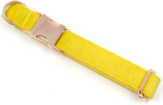 PETDURO Custom Dog Collar Personalized with Name Engraved Quick Release Rose Gold Metal Buckle for Large Medium Small Girl Dogs - Dog Leash and Bow Tie Available - Soft Comfy Velvet (Yellow, XL)