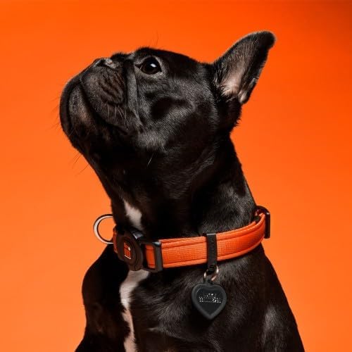 MyFamily Adjustable Polyester Dog Collar Made in Italy, Your Dog's Master Data Always with You, Comfortable and Durable, Handmade, Memopet Collection