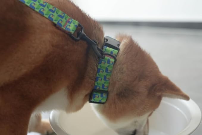 Dog Collars for Small Dogs - Safety Buckle Durable Plastic Light-Weight, Soft Adjustable Boy Girl Dogs Collar for Small Dog Collar with Cute Patterns (Green&Pink, S)