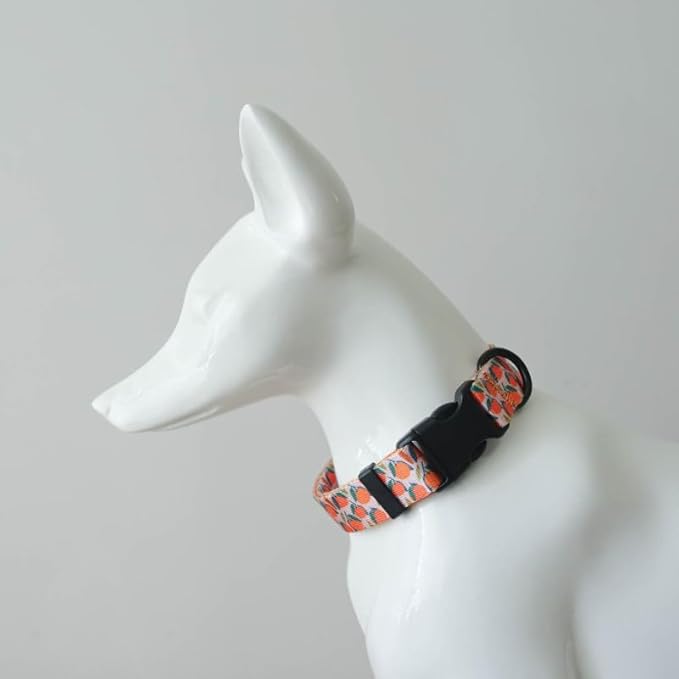 Dog Collars for Small Dogs - Safety Buckle Durable Plastic Light-Weight, Girl Dogs Collar for Small Dog Collar with Cute Fruit Patterns Soft Adjustable (Orange, XS)