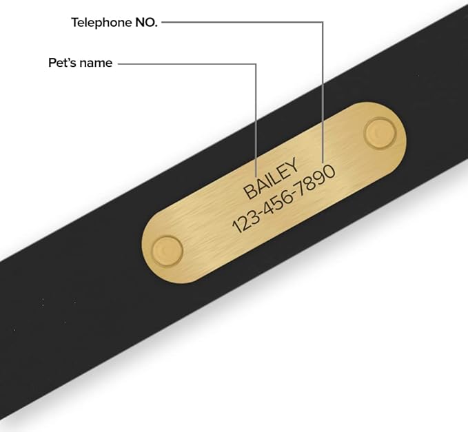 Regal Dog Products Large Black with Custom Engraved Waterproof Dog Collar and Leash Set | Waterproof Dog Collar with Double Buckle & D Ring - 5'ft Leash | Matching Dog Collar and Leash for Dogs