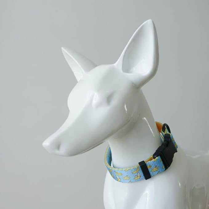Dog Collars for Small Dogs - Safety Buckle Durable Plastic Light-Weight, Soft Adjustable Girl Boy Dogs Collar for Small Dog Collar with Fruits Patterns (Banana, S)
