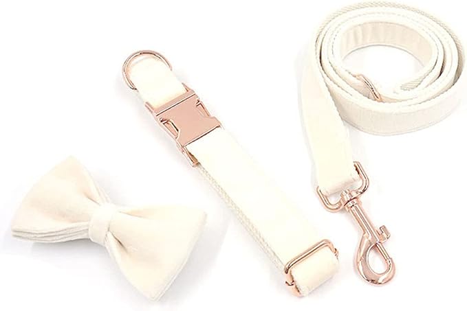 PETDURO Custom Dog Collar Personalized with Name Engraved Quick Release Rose Gold Metal Buckle for Large Medium Small Girl Dogs - Dog Leash and Bow Tie Available - Soft Comfy Velvet (Cream, XS)