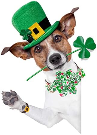 Elegant little tail St. Patrick's Dog Collar with Flower, Dog Collars Flowers Green Clover Girl Pet Gift Adjustable Pet Collars for Medium Dogs