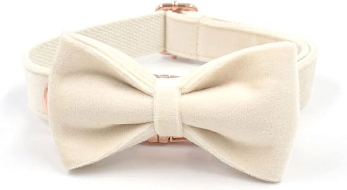 PETDURO Custom Dog Collar Personalized with Name Engraved Quick Release Rose Gold Metal Buckle for Large Medium Small Girl Dogs - Dog Leash and Bow Tie Available - Soft Comfy Velvet (Cream, M)