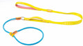 HOWGO Dog Slip Lead Dog Leash,Training Leash,Cinch Leash, No-Pull Slip Leash and Collar,Heavy Duty&Durable,Padded Handle,for All Breeds(Multicolor, 5FT)