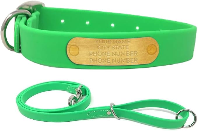 Regal Dog Products Medium Light Green with Custom Engraved Waterproof Dog Collar and Leash Set | Waterproof Dog Collar with Double Buckle & D Ring - 5'ft Leash | Matching Dog Collar and Leash for Dogs