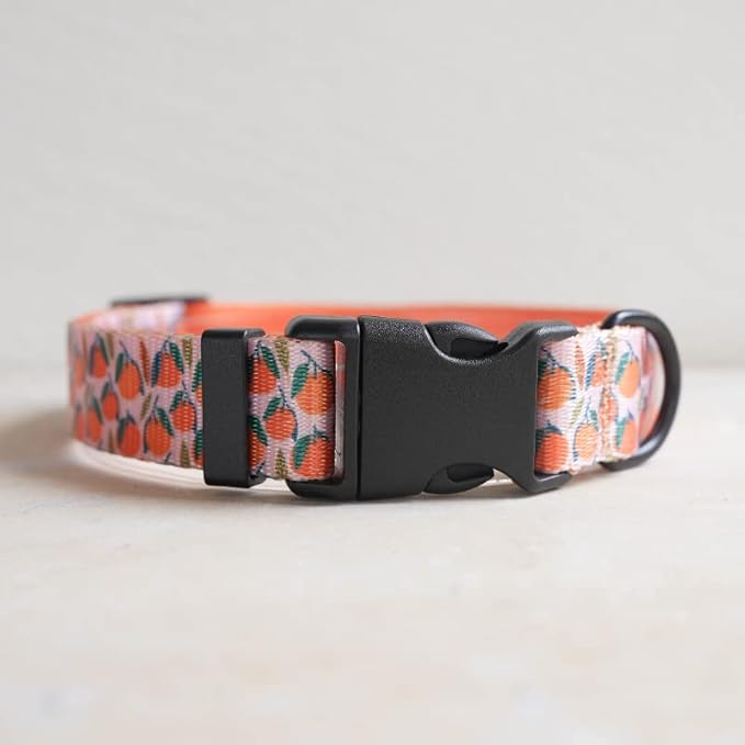 Dog Collars for Small Dogs - Safety Buckle Durable Light-Weight, Girl Boy Dogs Collar for Small Dog Collar with Cute Fruit Patterns Soft Adjustable (Orange, S)