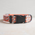 Dog Collars for Large Dogs - Safety Buckle Durable Light-Weight Buckle, Girl Dogs Collar for Big Dog Collar with Fruit Patterns - Soft Adjustable Sturdy Nylon Pet Collars (Orange, L)