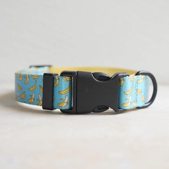 Dog Collars for Medium Dogs - Safety Buckle Durable Plastic Light-Weight, Girl Boy Dogs Collar for Medium Dog Collar with Cute Fruit Patterns Soft Adjustable (Banana, M)